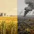 Brazil to ask countries to quadruple biofuel use, leak suggests