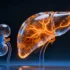 Fenofibrate’s Organ-Specific Effects: How Liver and Kidney Metabolism Respond Differently to PPARα Activation