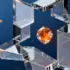 The Productivity Paradox: How AI-Driven Efficiency Could Reshape Employment During Economic Downturns