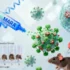 Computational Design Unlocks Next-Generation mRNA Vaccine Platform with Dual Immunity