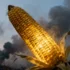 Atmospheric Mercury Intrusion: How Gold Mining Emissions Are Compromising Africa’s Agricultural Safety