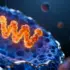 How Integrin’s Shape Determines Its Cellular Fate