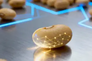 US-China Trade Truce: Temporary Relief Masks Deeper Strategi - In what appears to be another chapter in the long-running US-C