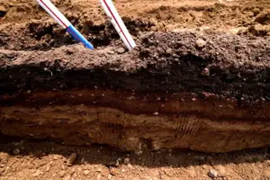 Serverfarm's $8 Billion Arkansas Data Center Gamble - Professional coverage