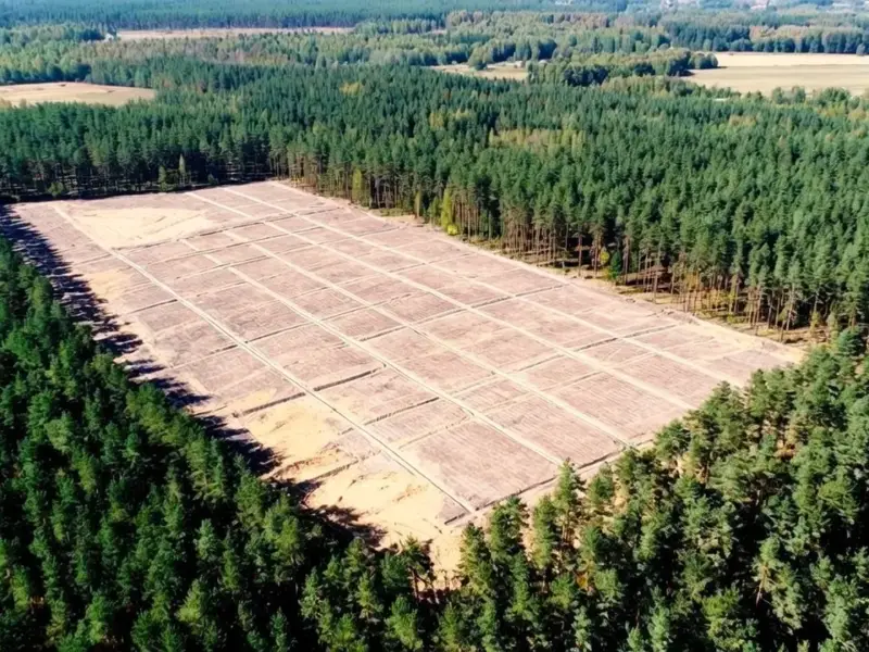 The Hidden Highways Powering Your Internet Are Under the Sea - Professional coverage